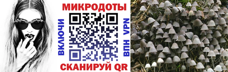 Галлюциногенные грибы мицелий  ОМГ ОМГ ТОР  Энгельс 